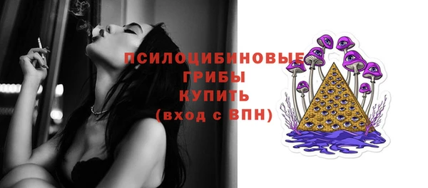 spice Баксан