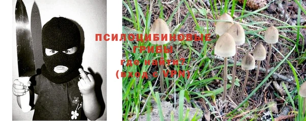 прущие крисы Беломорск